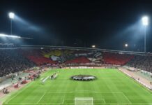 Подршка је била важна и 2017. године, буди и сада уз Звезду од првог кола