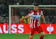 Звездиних 14 репрезентативаца