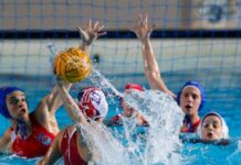 Звезда поражена у Новом Саду