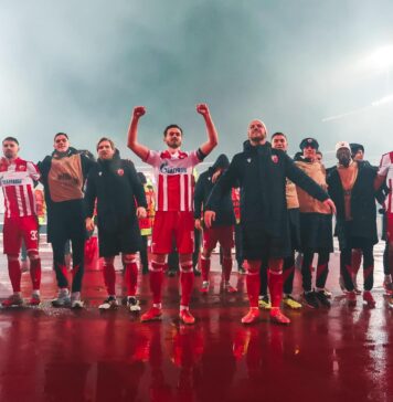 Звезда је победник!