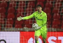 Учинак Звездиних голмана у јесењој полусезони