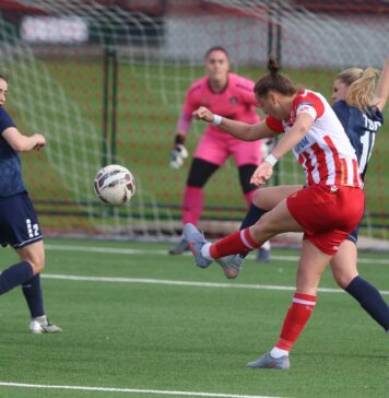 Пораз Звезде у Новом Саду