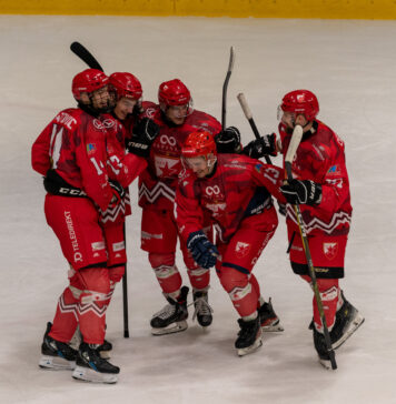 Црвена звезда вицешампион ИХЛ лиге